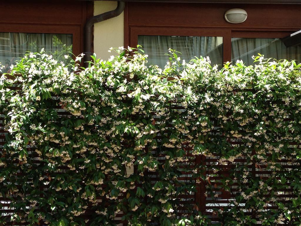Select Garden Hotel Roma
