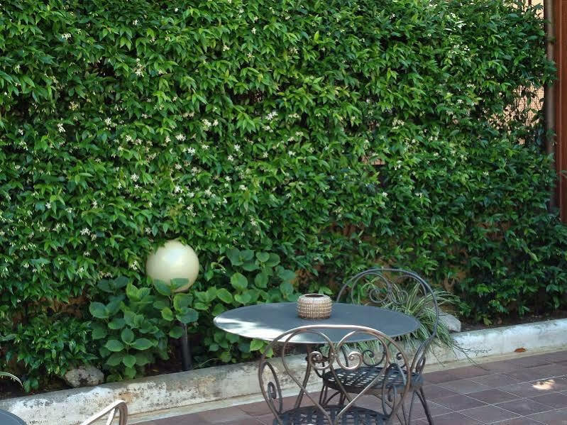Select Garden Roma