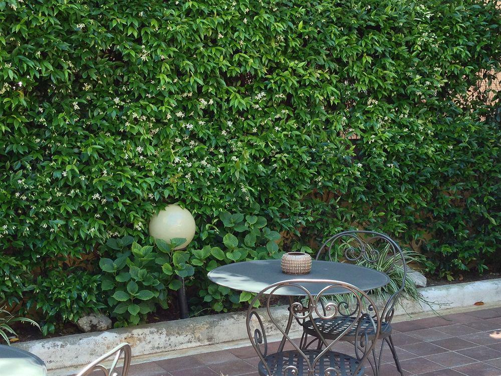 Select Garden Roma
